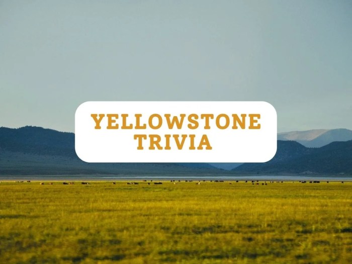 Yellowstone trivia questions and answers