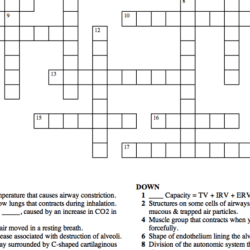 Nervous system crossword puzzle answers