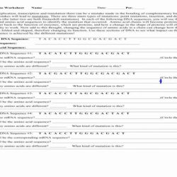 Gene mutations worksheet answer key