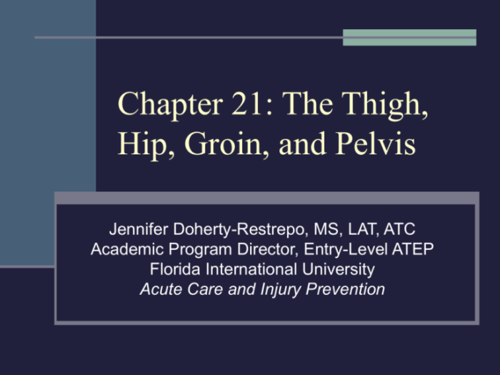 Chapter 17 worksheet the thigh hip groin and pelvis