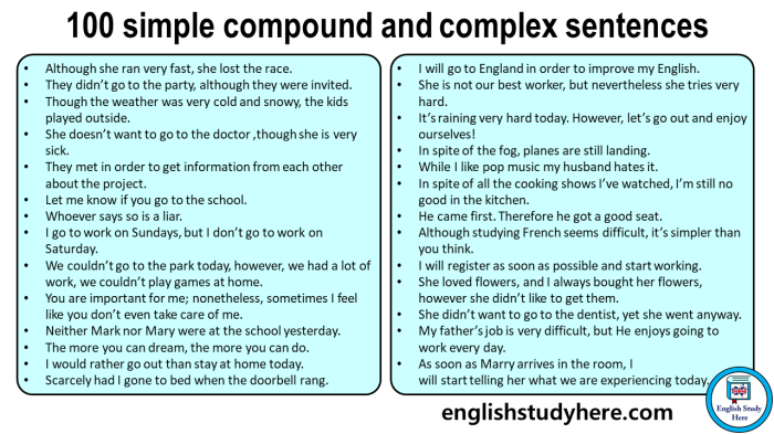 Simple compound complex and compound complex sentences worksheet