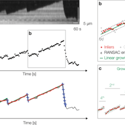 Longitudinal dynamic instability in an airplane can be identified by