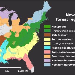 Biomes biome map earth california temperate where deciduous different forest tundra main rainforest korea major south distribution ecosystems science marietta