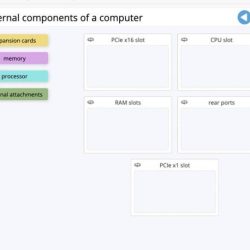 Advanced hardware lab 6-3 identify video ports and connectors