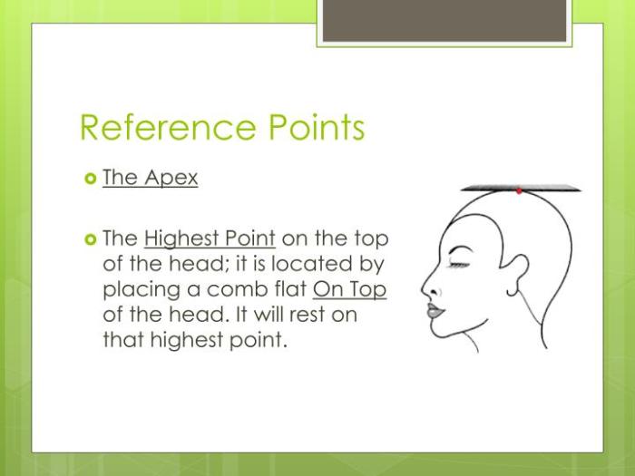 Reference points in a haircut are used to establish