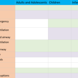 Summary of high quality cpr components for bls providers